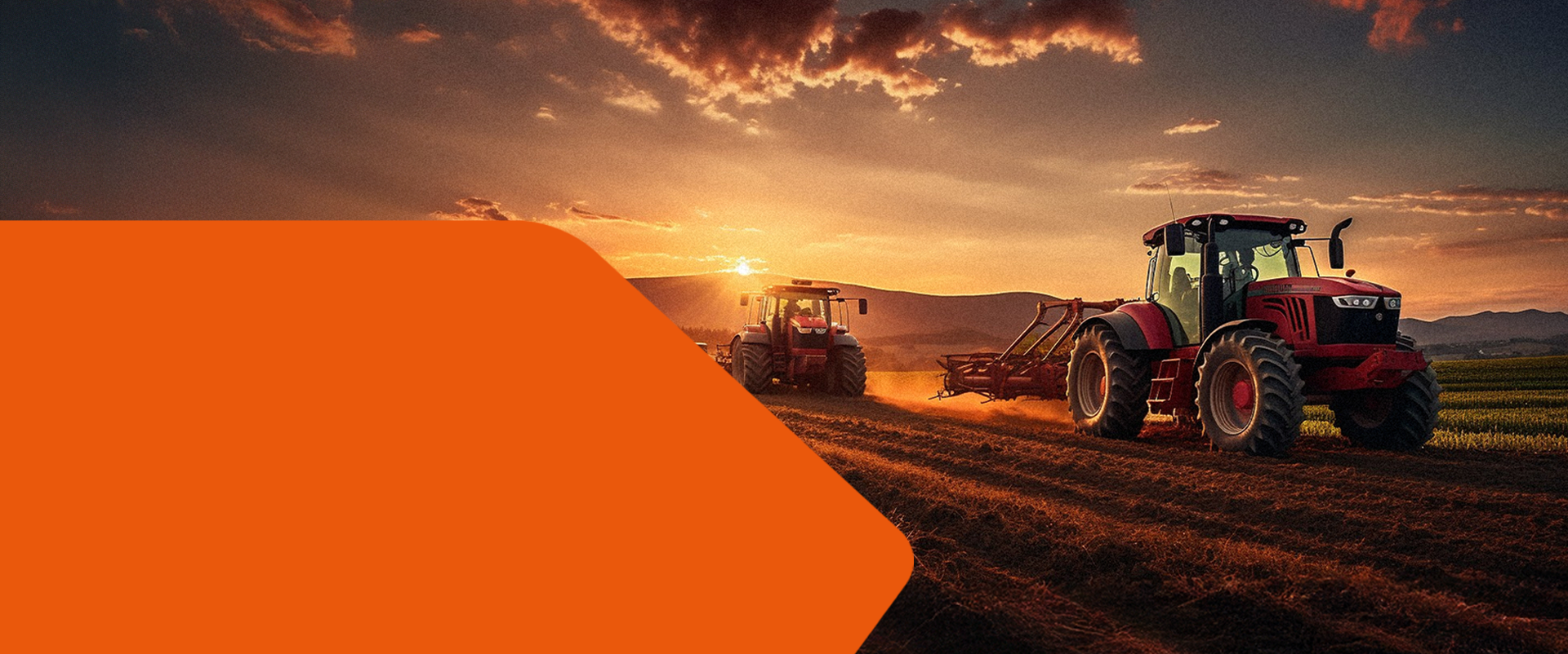 SUSTENTABILIDADE E ALTA QUALIDADE